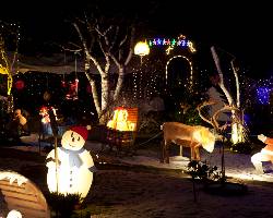 Decorations de noel