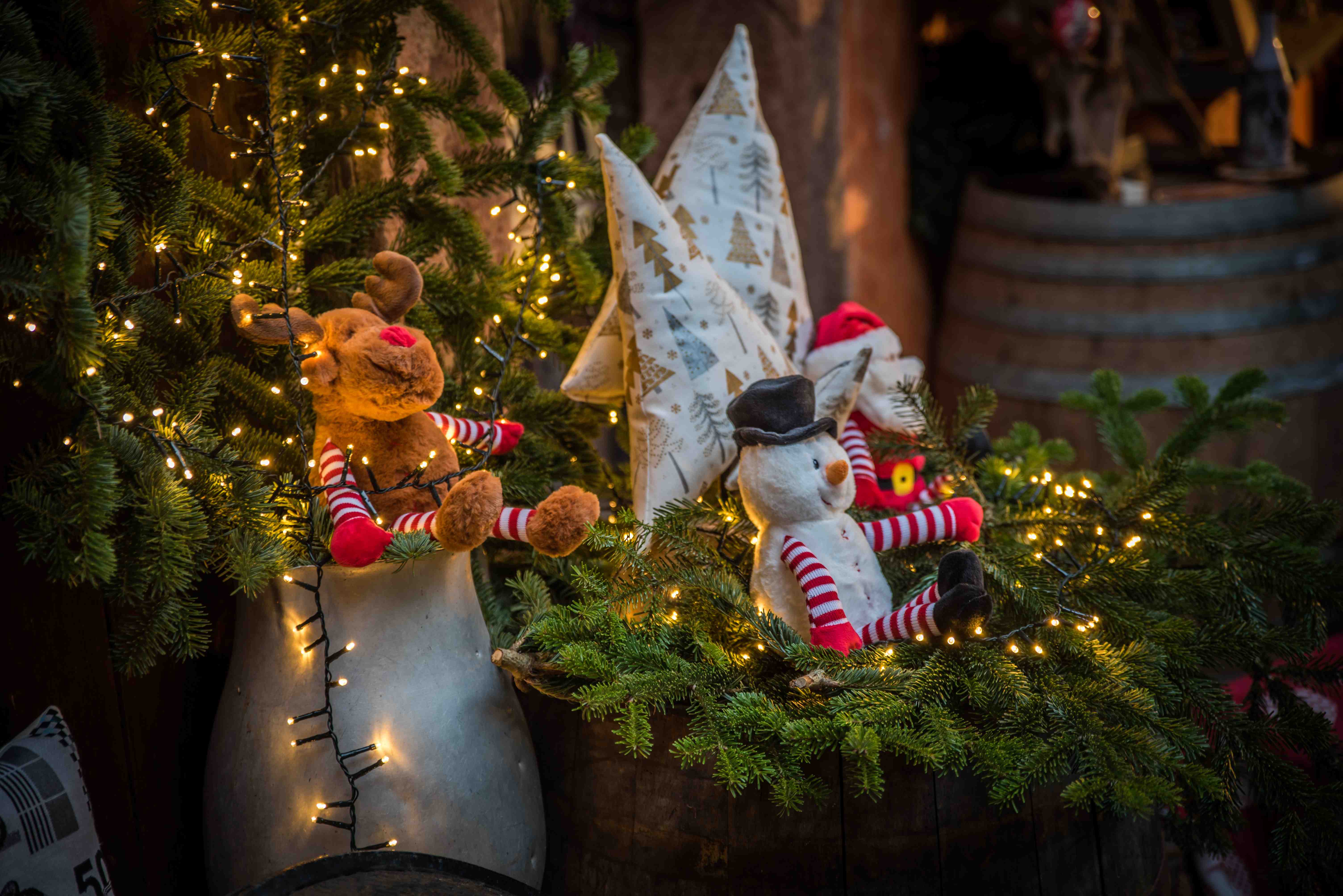 © Vincent Schneider